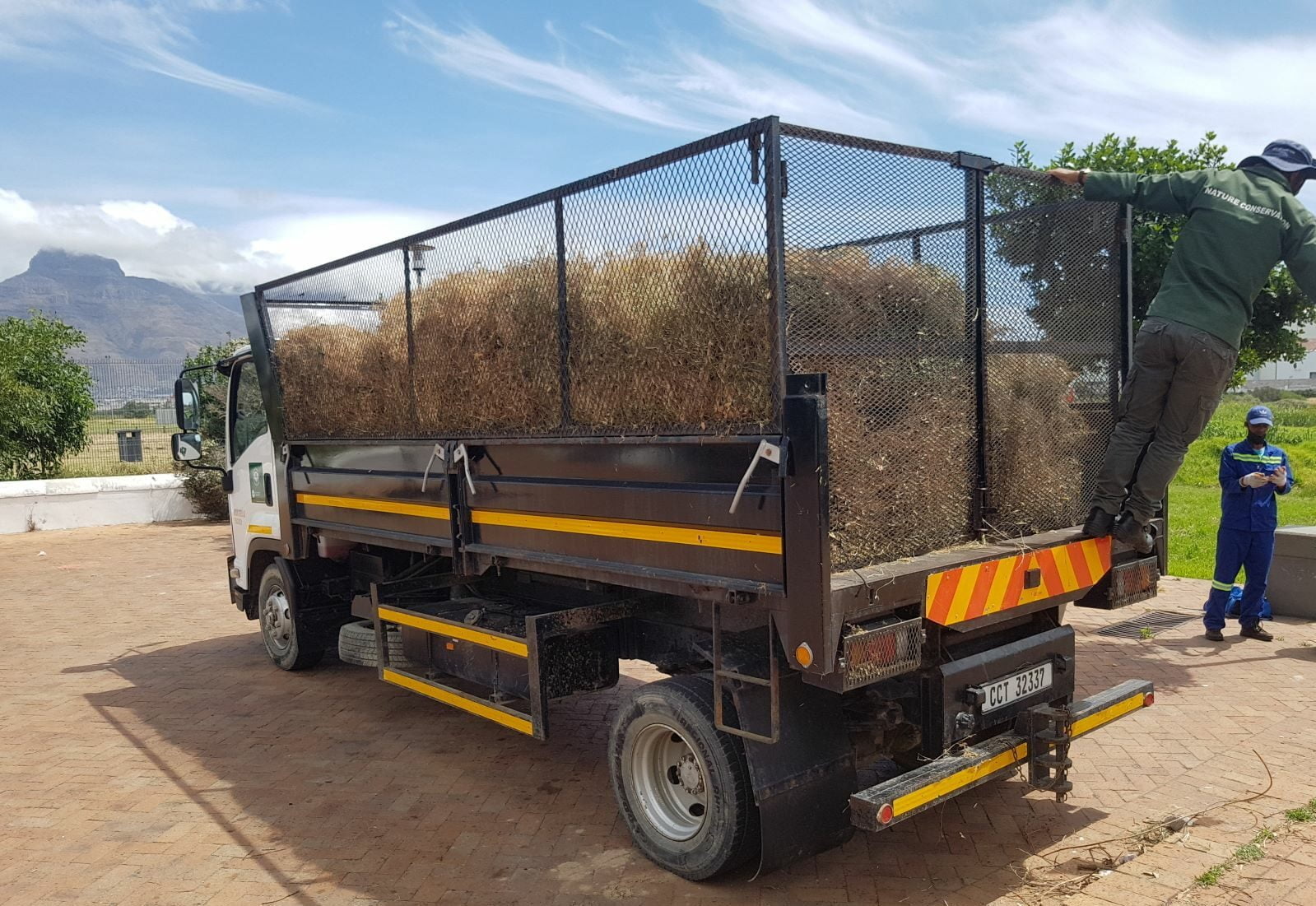 A truck load of mostly vetch (680kg) readied to be dispacthed from the reserve