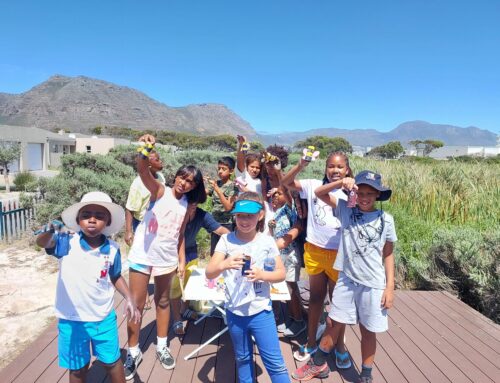 The Nature Care Fund, Muizenberg East Cluster Hosts Holiday Environmental Education Programme