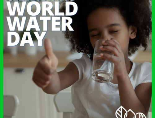 Celebrating Water Day – Accelerating Change.