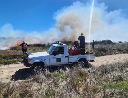 Ecological Burn at Milnerton Racecourse a Section of Table Bay Nature Reserve