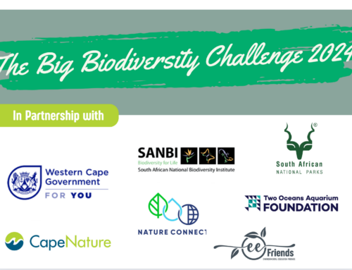 The Big Biodiversity Challenge – The Western Cape Environmental Education Friends Launches Competition for Grade 6 – 9 Students to Protect Biodiversity.